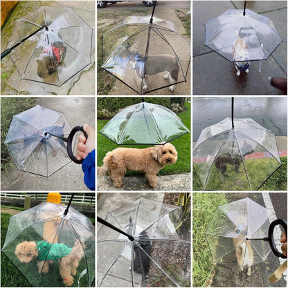 Dogbrella™